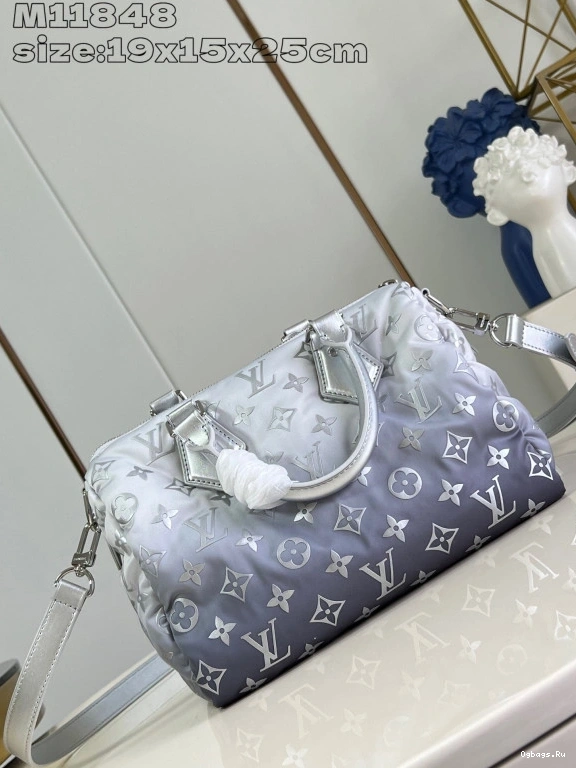 VUITTON 25 SPEEDY LOUIS BANDOULIÈRE 1226